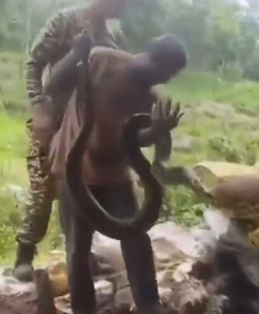झीरम घाटी सीआरपीएफ कैम्प के पास मिला 7 फीट का अजगर